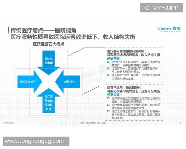 深入分析成都网球队的运营策略与市场推广模式