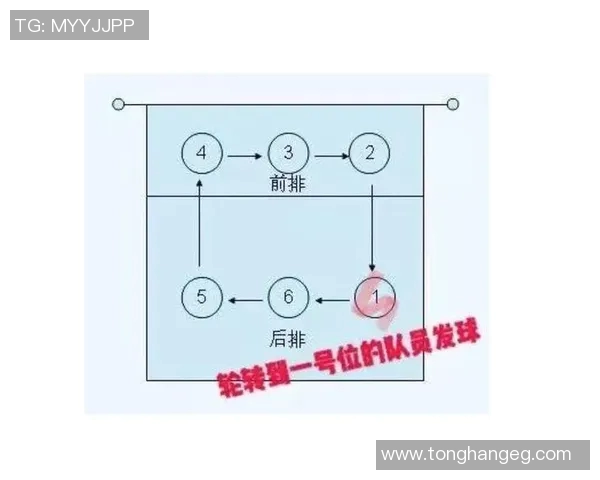 热议排球：西方球队如何通过力量变革提升竞技水平与团队协作能力