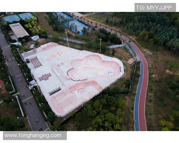 南京滑板队战术解析：聚焦滑板运动的团队协作与技巧提升