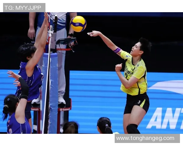 北京排球队在排球状态排行榜中荣获第二名展现强劲实力与潜力